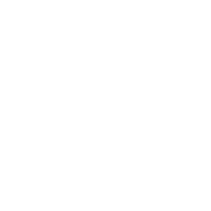 IEP_icon_300x300