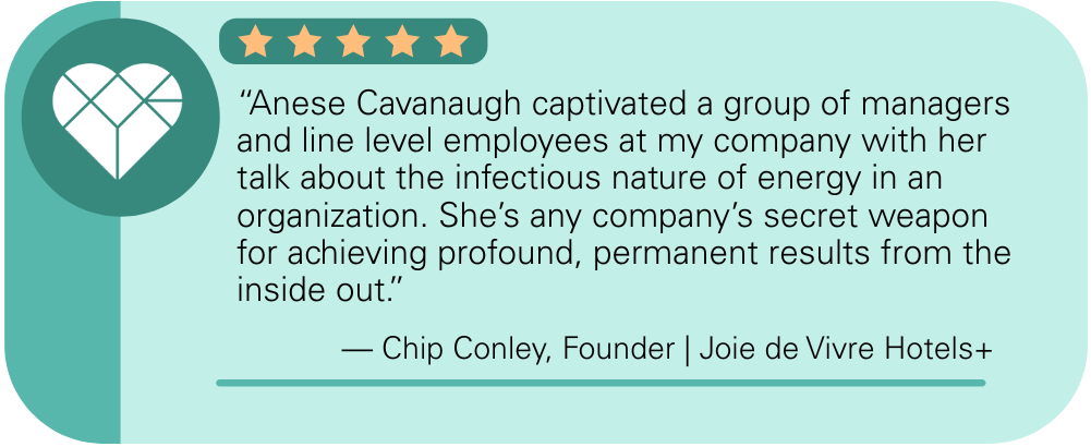 Chip Conley Testimonial